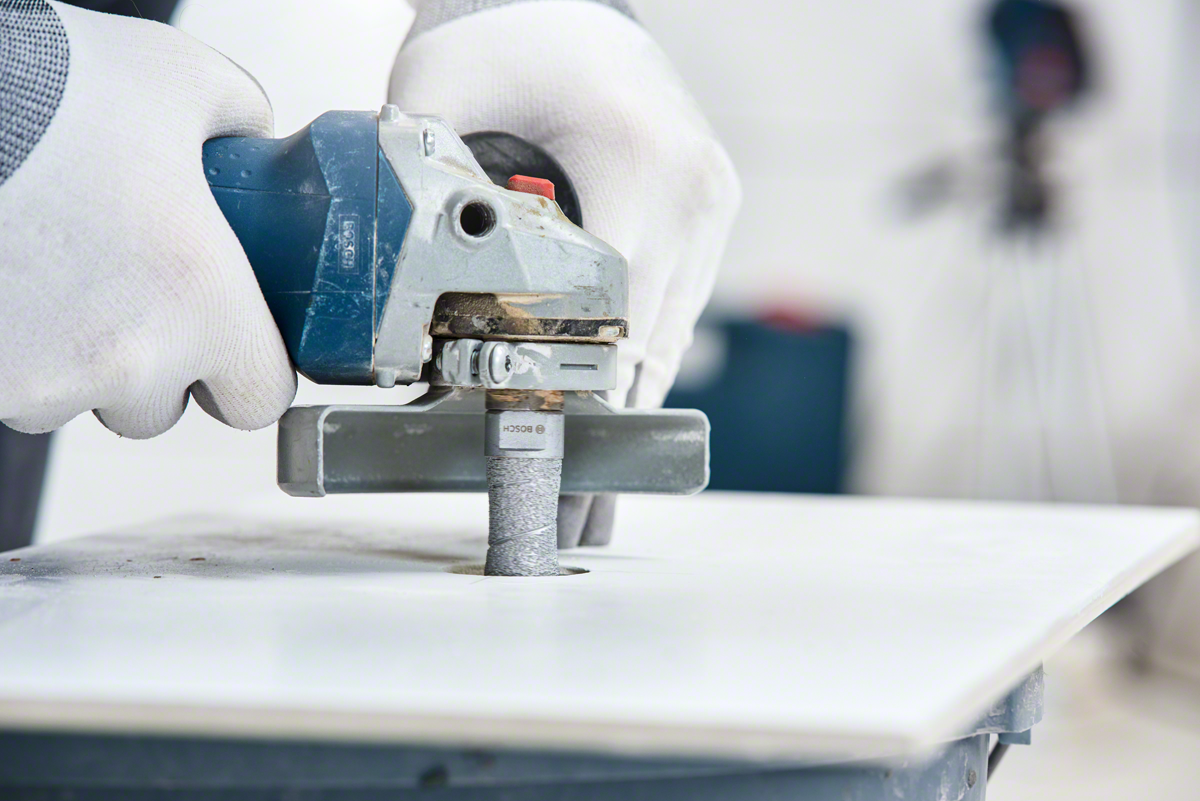 Diamond Cutters Dry Speed Bosch Professional