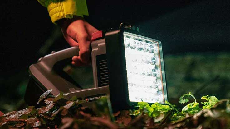 A hand holds an LED work light over green leaves at night.