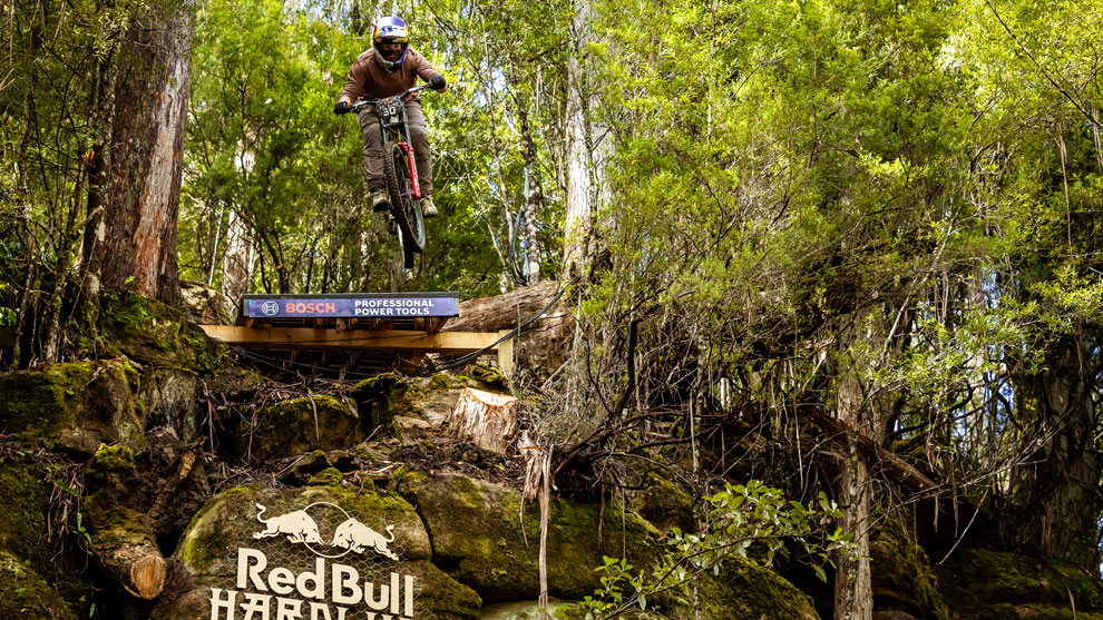Professional downhill mountain bike online